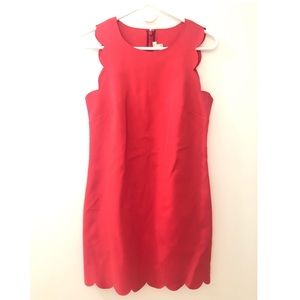 J. Crew Coral Pink Scalloped Dress